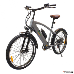 Электровелосипед GreenCamel Санта (R26 500W 48V 10Ah) серый