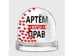 Водяной шар #11 Артём