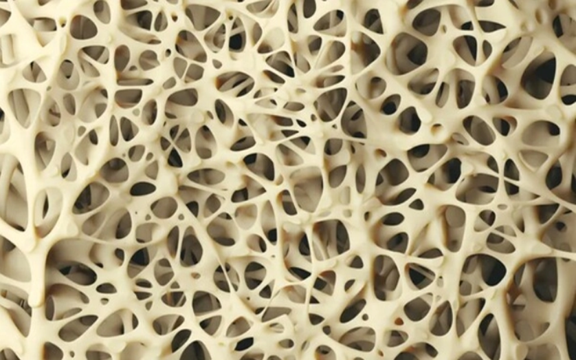 Комплекс Атоми Мега Витамин D3K2 транс MK-7 сверхкритический витамин K2