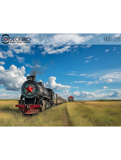 Фотофон виниловый «Полустанок»