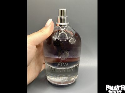 FLAVIO NERI Парфюмерная вода для мужчин VIVA GLADIUS 100 мл