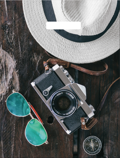 Путешественник