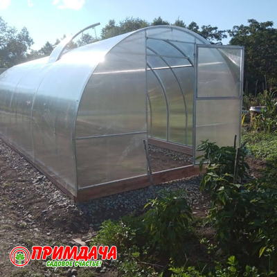 Теплица «Дачница Усиленная» 3*8 м. Сотовый поликарбонат 6 мм.