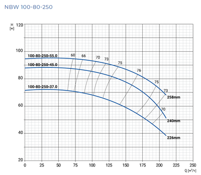 NBW 100-80-250-55.0/2-G