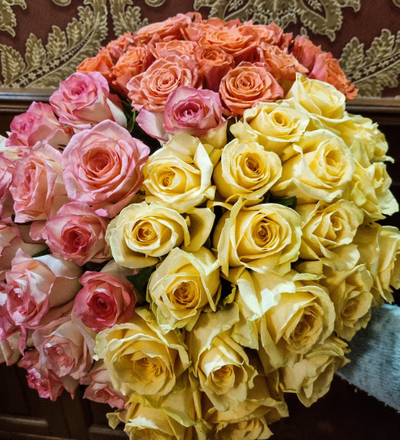 Роза Россия 40 см микс 51 шт