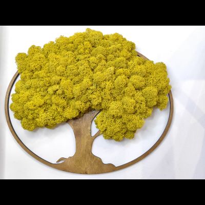 ЖИВАЯ ЭКО-КАРТИНА 1008