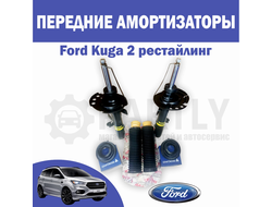 Передние амортизаторы Ford Kuga 2  комплект  Monroe + Lemforder