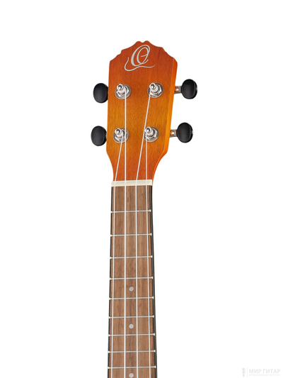 Ortega RUDAWN 1