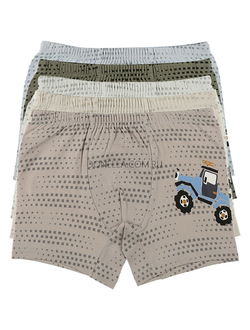 Трусы боксеры для мальчиков Donella - 75931 AZ