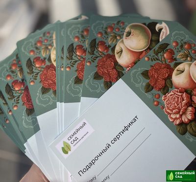 Подарочный сертификат