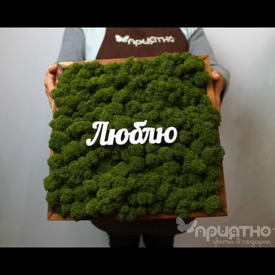 ЖИВАЯ ЭКО-КАРТИНА 1063