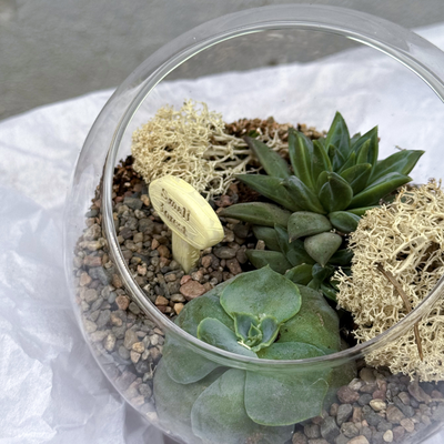 Флорариум Родос