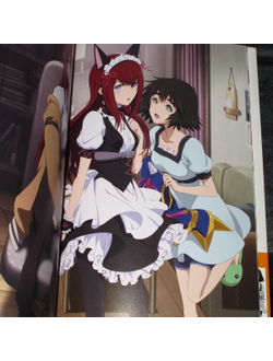 Оригинальный Арт Бук Steins;Gate Soushisouai no True Memories (Врата; Штейна)