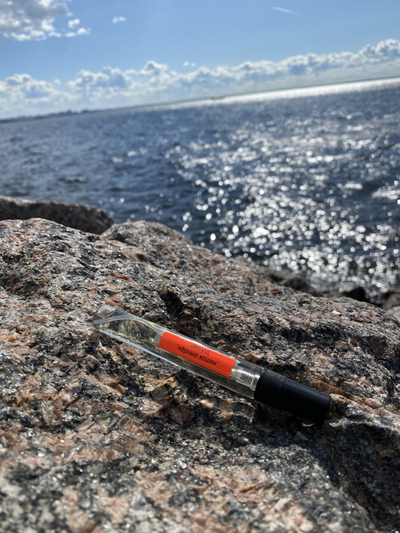 Духи АККОРД: ЧЁРНЫЕ КОШКИ 10 мл