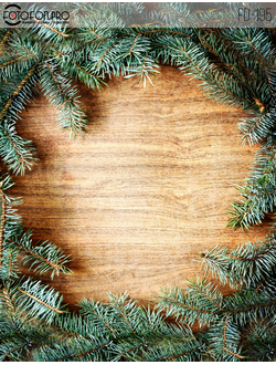 Фотофон виниловый «Ель»