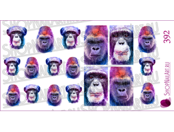 Слайдер-дизайн 392 - Обезьяны, рисунок акварелью.