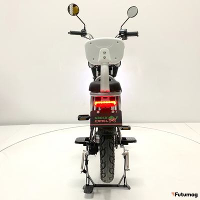 Электровелосипед GreenCamel Транк Монстр (R16FAT 800W 48V15Ah) гидравл. тормоз