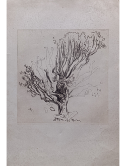 "Музы Пушкина" офорт Насибулин Э.Х. 1973 год