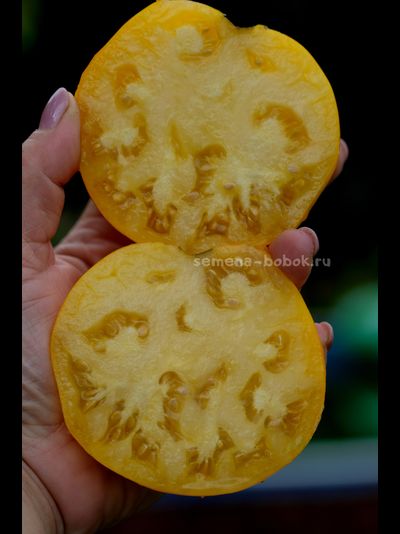 Томат Домашние Сердца Желтые от Гонсиоровских, 10 шт