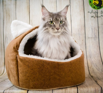 ДОМ “ПУШОК”