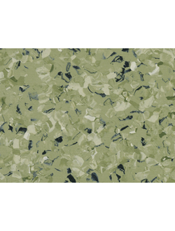 Toro GREEN 0576