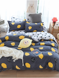 Постельное белье семейное TANGO Dream Fly микросатин 160x210x2 220x245x1 70x70x2 DF05-83-70