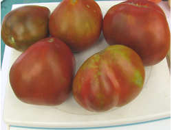 Томат Заржавевшее сердце Эверета (Everett's Rusty Oxheart)