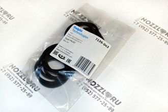 DELPHI 7139-043 Уплотнительное кольцо (комплект 10шт.) DP2/DPA/DPC/DPS