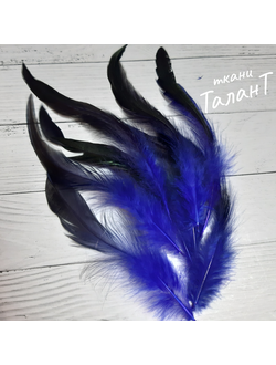 Перья петух, цв. Синий с чёрными кончиками