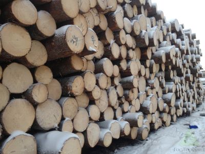 Пиловочник отборный ель, сосна для сруба