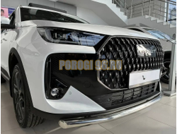 Защита переднего бампера Папа Тюнинг d60 для TENET T7 2025-