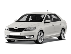 Skoda Rapid (Hockey Edition)