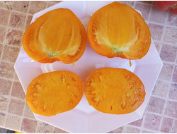 Томат Чудо Земли оранжевое