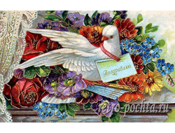 Поздравительные 1004