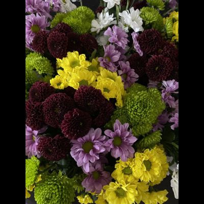 Сантини микс 35 шт