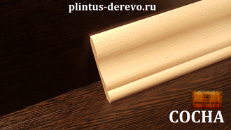 plintus-hvoia-lastochkin-hvost-80