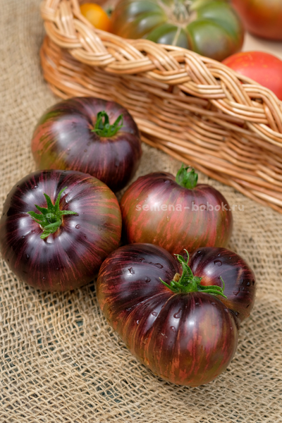 Томат Leprechaun Gosha (Лепрекон Гоша), 10 шт