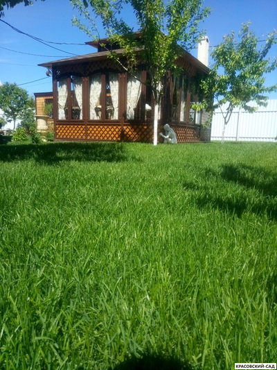 Рулонный газон Эталон