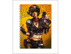 Тетрадь Borderlands, Бордерленд №18