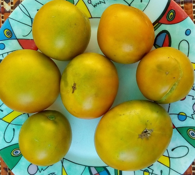 Томат Лайм Грин салат, (Lime Green Salad) США