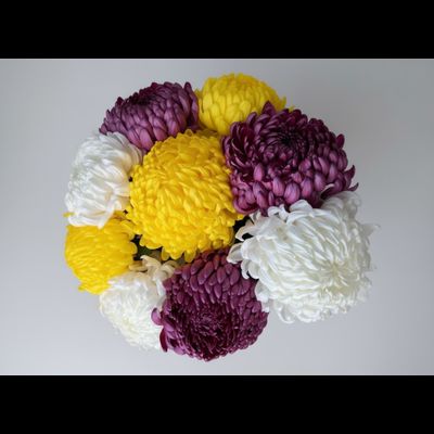 Букет моно цветов № 566