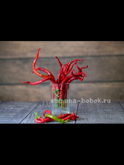 Перец острый Kil Biber, 10 шт