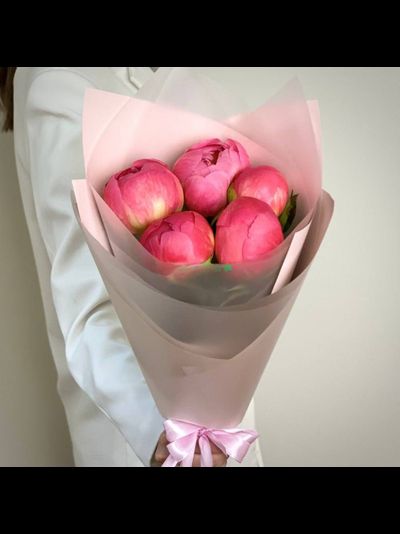 5 коралловых пионов