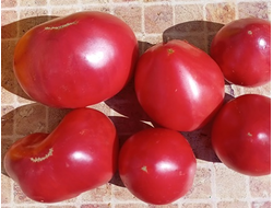 Томат Тайные сокровища вечности (Hidden Treasures of A Timeless)