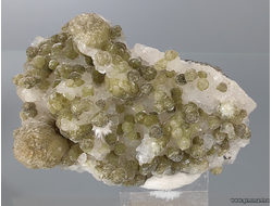 Апофиллит, стильбит, окенит, халцедон. Индия. 54*35*20мм