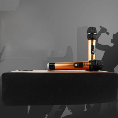 Акустическая караоке-система KS-120W с двумя беспроводными микрофонами