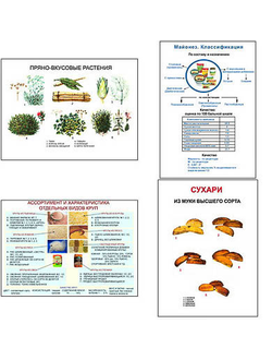 Плакаты ПРОФТЕХ "Продовольственные товары и пряности" (11 пл, винил, 70х100)