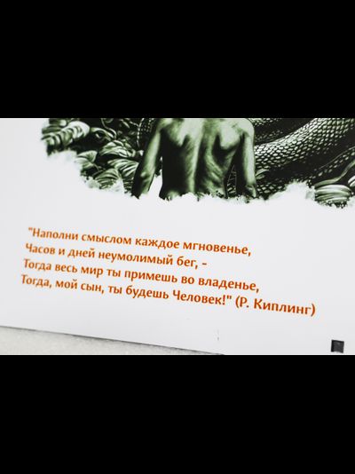 Настенный календарь 2025 «Книга джунглей»