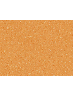 Tempo Plus 1011