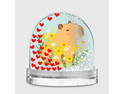 Водяной шар Капибара, Kapibara-san №13